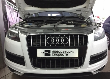 Audi Q7 3.0d 228Hp 2010