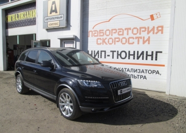 Чип тюнинг Audi Q7 3.0TDi 245hp 2015 года выпуска